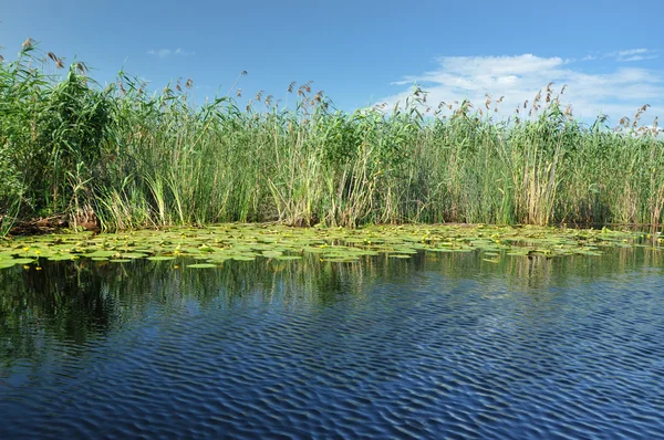 Canal de agua, río en el delta del Danubio, Rumania — Foto de Stock