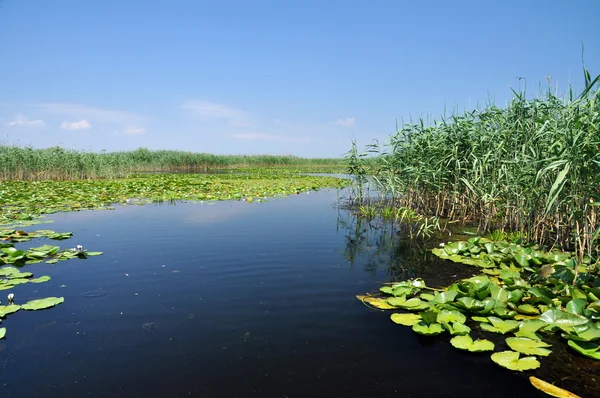 Canale dell'acqua, fiume nel delta del Danubio, Romania — Foto Stock