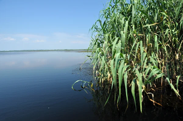 Piękne jeziora w regionie Delta Dunaju, Rumunia — Zdjęcie stockowe