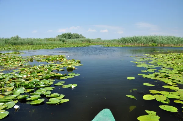 Hermoso lago en el delta del Danubio, Rumania — Foto de Stock