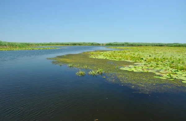 Hermoso lago en el delta del Danubio, Rumania — Foto de Stock