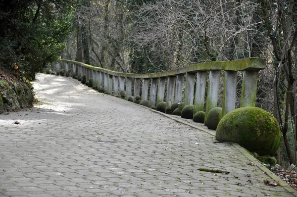 Perspectiva callejón con pavimento de piedra en el parque —  Fotos de Stock