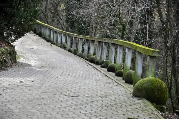 Perspectiva callejón con pavimento de piedra en el parque —  Fotos de Stock