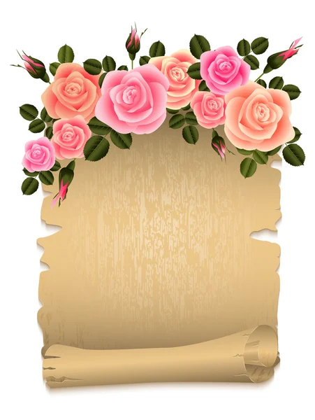 Τριαντάφυλλα με Πάπυρος — Διανυσματικό Αρχείο
