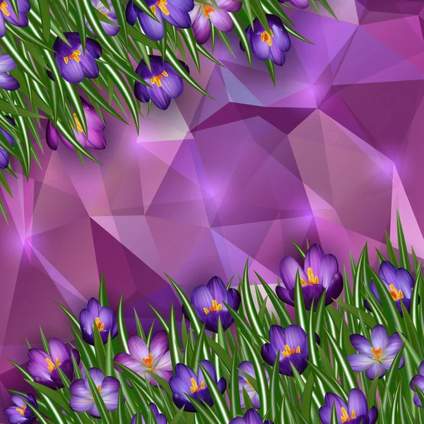 紫色的番红花花朵带有三角背景 — 图库矢量图片