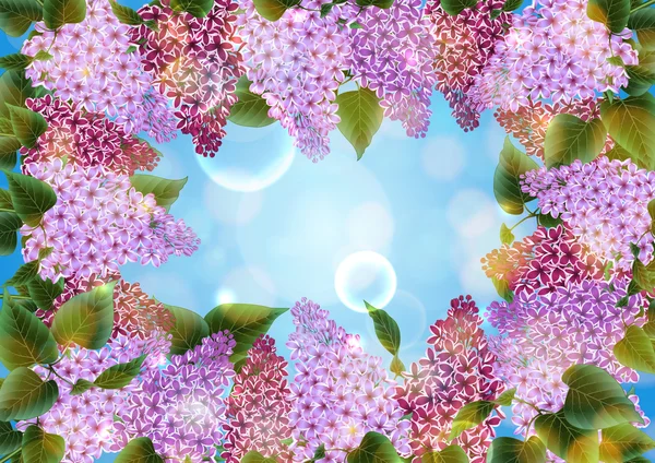 紫丁香鲜花装饰 — 图库矢量图片