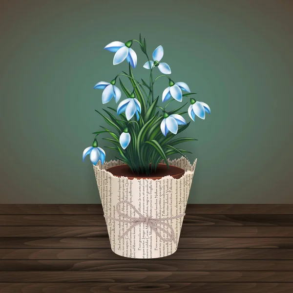 Illustration Von Frühlingsschneeglöckchen Blumen Blumentopf Mit Zeitungsverpackung Und Seilschleife — Stockvektor