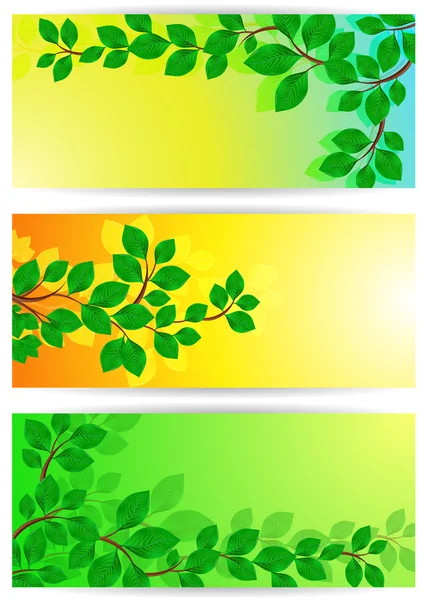 Yeşil yaprakları ile afiş — Stok Vektör