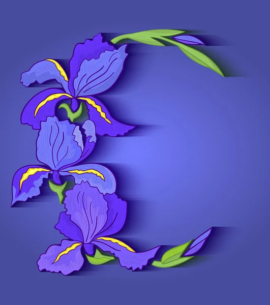 Iris Frame — Stockvector