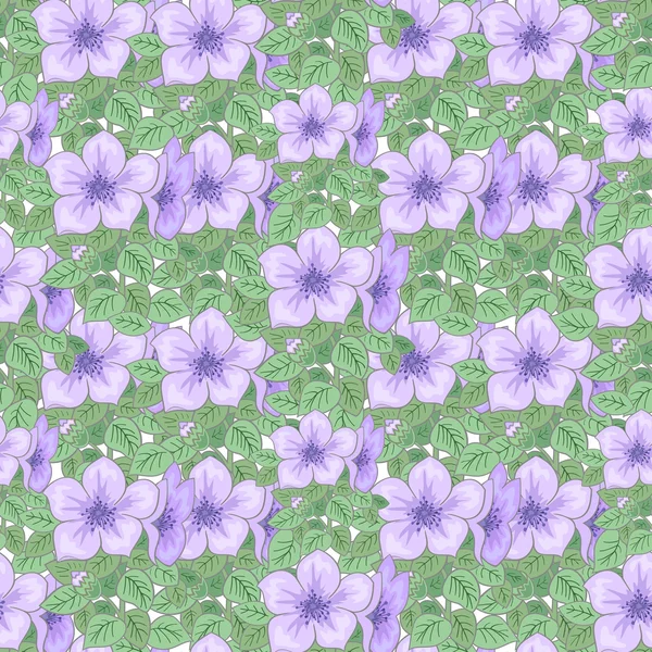 Modèle floral sans couture — Image vectorielle