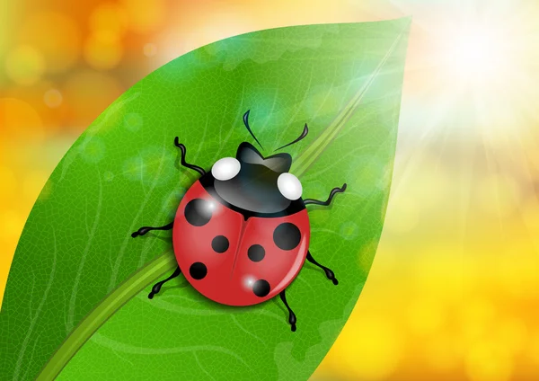 Ladybug on green leaf — Stock Vector