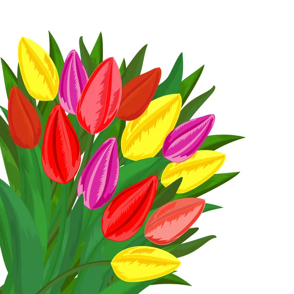 Kytice barevné tulipány — Stockový vektor