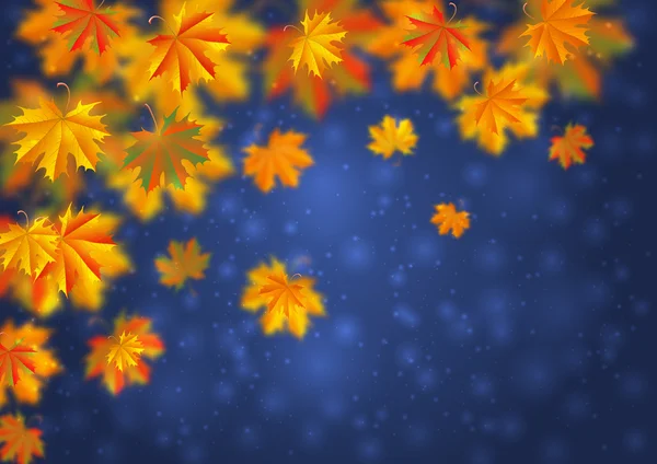 Hojas de otoño fondo — Vector de stock