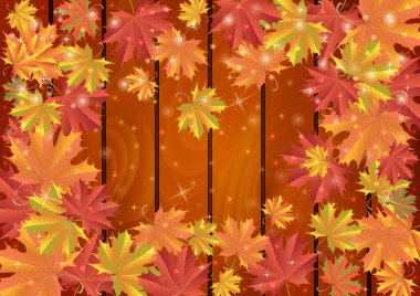 sonbahar yaprakları arka plan