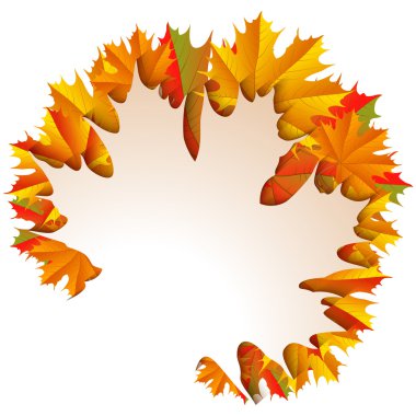 Sonbahar akçaağaç yaprakları