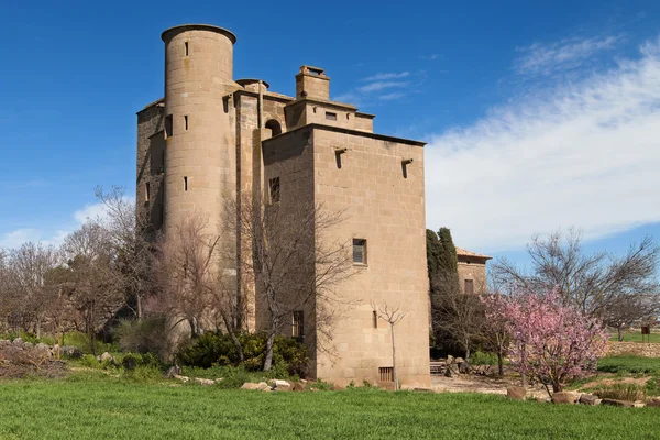 Castle-Mill of Ratera — Stock Photo, Image