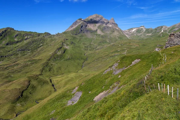 Mount Reeti in den Grindelwalder Alpen — Stockfoto