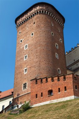 Senatör kule Wawel Royal Castle