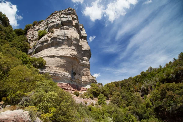 Formazione rocciosa nella foresta di Collsacabra — Foto Stock