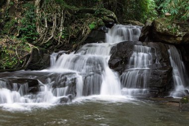 Mae Puai Nehri 'ndeki küçük şelale, Doi Inthanon Ulusal Parkı, Tayland.