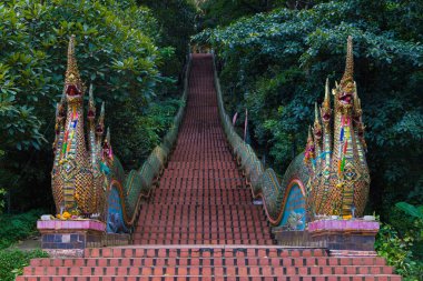 Chiang Mai, Tayland 'da Wat Phra' ya Ejder Merdiveni Doi Suthep.