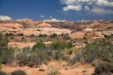 Utah, ABD 'deki Arches Ulusal Parkı' ndaki Taşlaşmış Kumullar.