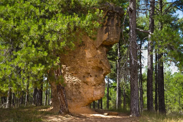 Människans Ansikte Ciudad Encantada Cuenca Spanien — Stockfoto