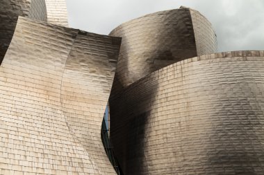 bilbao guggenheim titanyum Cephesi