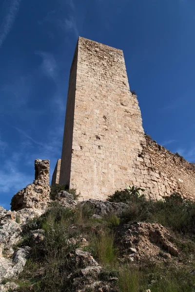 Torn av Miravet slott — Stockfoto