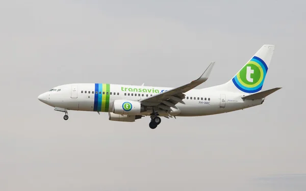 Transavia Boeing 737 — Foto de Stock