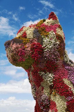 Köpek yavrusu heykel Guggenheim Bilbao önünde