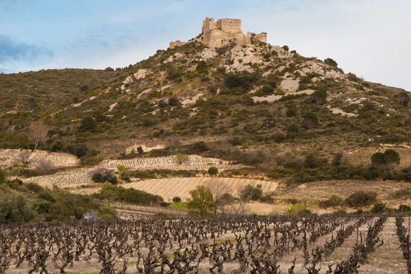 Chateau aguilar — Stockfoto