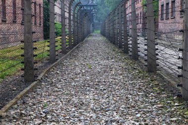 Auschwitz'de dikenli tel çit