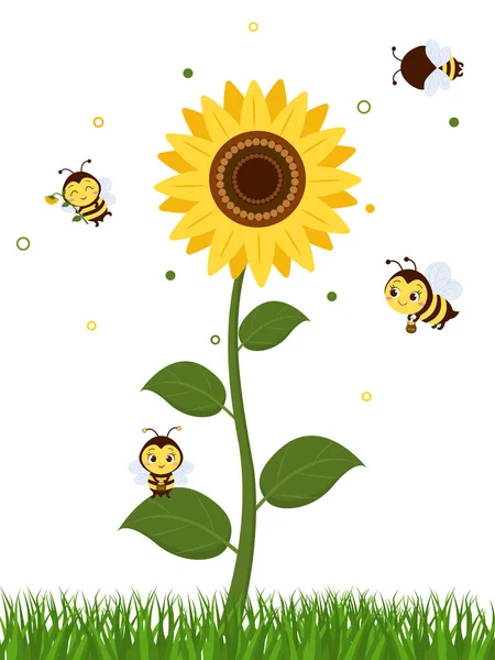 Cuatro abejas lindas vuelan al girasol para recoger el néctar. Vector, estilo de dibujos animados. — Vector de stock