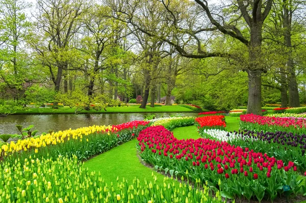 Beautiful spring flowers near pond in Keukenhof park in Netherlands (Holland) — Stock Photo, Image