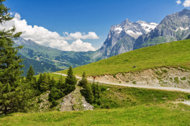 Güzel pastoral Alps Peyzaj ve iz, dağlarda yaz, İsviçre