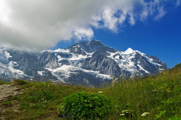 Mooie idyllische Alpen landschap met bergen in de zomer, Zwitserland — Stockfoto