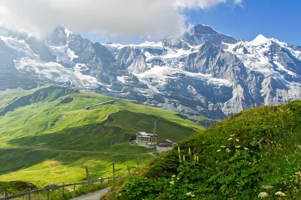 夏、スイスの山に美しい牧歌的なアルプスの風景 — ストック写真