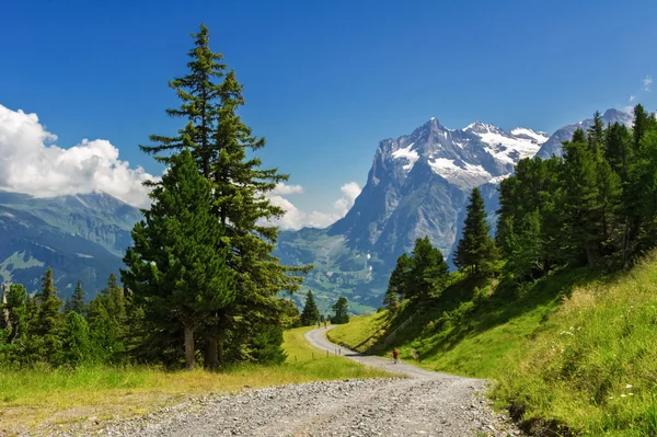 Όμορφο ειδυλλιακό τοπίο Άλπεις και μονοπάτι, βουνά το καλοκαίρι, Ελβετία — Φωτογραφία Αρχείου