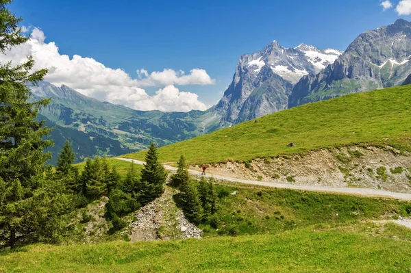 Όμορφο ειδυλλιακό τοπίο Άλπεις και μονοπάτι, βουνά το καλοκαίρι, Ελβετία — Φωτογραφία Αρχείου