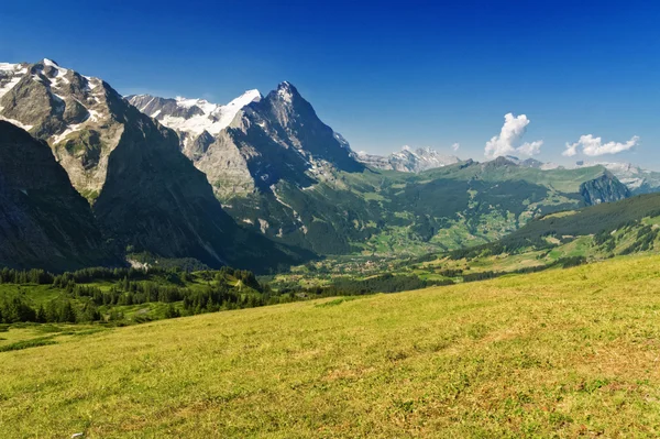 Красивый идиллический пейзаж Альп с горами летом, Швейцария — стоковое фото