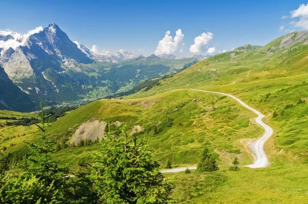 Mooie idyllische landschap van de Alpen en de trail, de bergen in de zomer, Zwitserland — Stockfoto