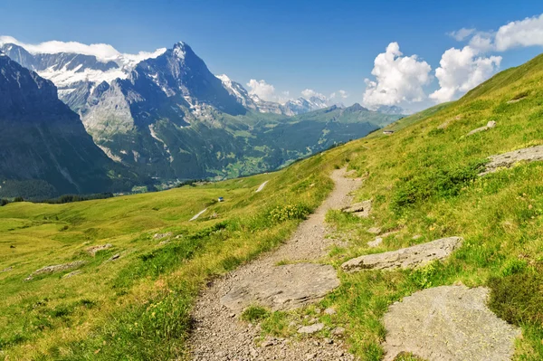 Mooie idyllische landschap van de Alpen en de trail, de bergen in de zomer, Zwitserland — Stockfoto