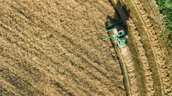 Sklizňový Stroj Pracující Poli Letecký Pohled Shora Kombinovat Sklízecí Stroj — Stock fotografie