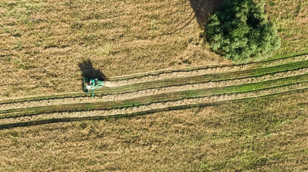 Sklizňový Stroj Pracující Poli Letecký Pohled Shora Kombinovat Sklízecí Stroj — Stock fotografie