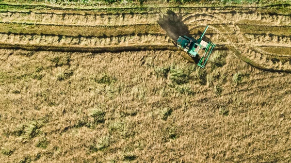 Raccoglitrice Che Lavora Vista Aerea Campo Dall Alto Combinare Mietitrice — Foto Stock