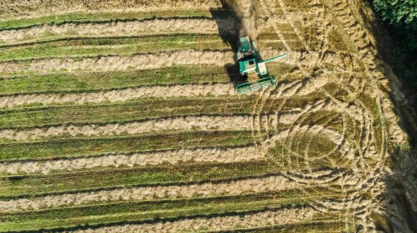 Sklizňový Stroj Pracující Poli Letecký Pohled Shora Kombinovat Sklízecí Stroj — Stock fotografie