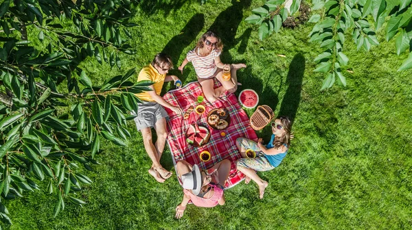 公園でピクニックをしている子供たち 庭の芝生に座って健康的な食事を屋外で食べる子供たち 上からの空中ドローンの景色 家族の休暇と週末のコンセプトを持つ幸せな家族 — ストック写真