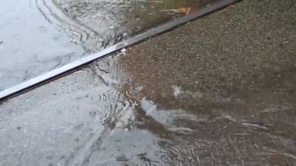 Autumn Rain City People Legs Crossing Puddle Asphalt Pavement — Stock Video