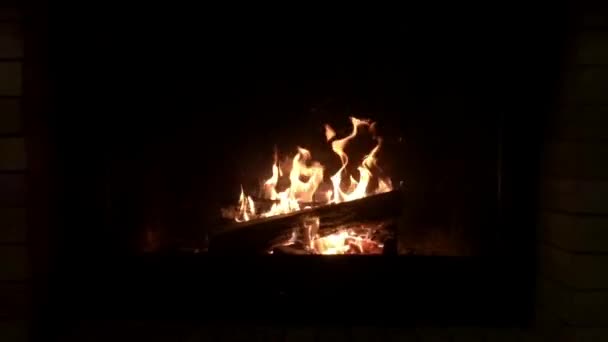 Quema Chimenea Con Troncos Madera Llama Interior Año Nuevo Navidad — Vídeo de stock